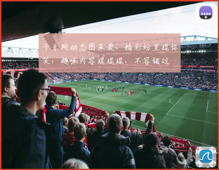 千乐网动态图来袭，精彩纷呈逗你笑，趣味内容逗逗逗，不容错过