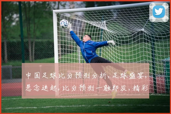 中国足球比分预测分析,足球盛宴,悬念迭起,比分预测一触即发,精彩不容错过,。