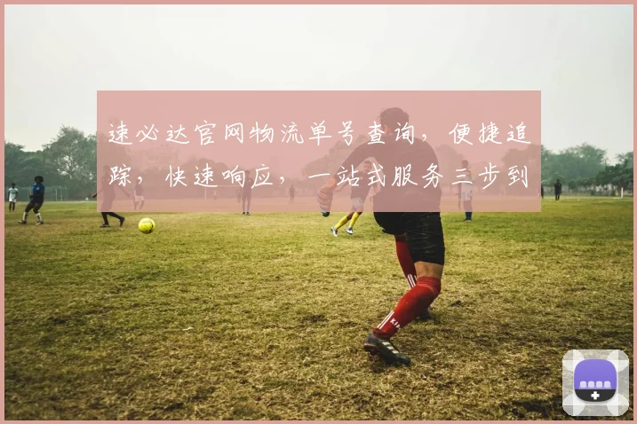 速必达官网物流单号查询，便捷追踪，快速响应，一站式服务三步到位，助您无忧