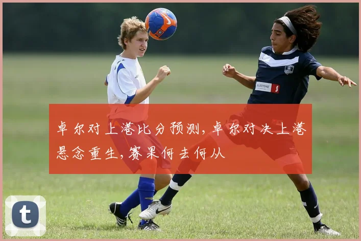 卓尔对上港比分预测,卓尔对决上港悬念重生,赛果何去何从