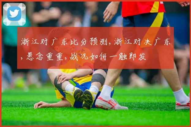 浙江对广东比分预测,浙江对决广东,悬念重重,战况如何一触即发