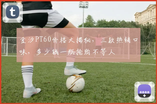 金沙PT60价格大揭秘，三款热销口味，多少钱一瓶抢购不等人