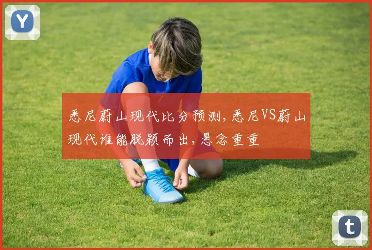 悉尼蔚山现代比分预测,悉尼VS蔚山现代谁能脱颖而出,悬念重重